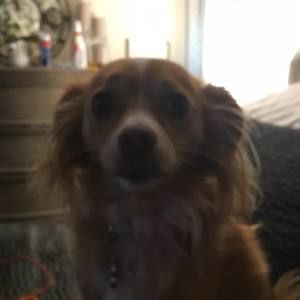 Meet your Posher, Diane